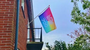 Vlag Landsmeer 700