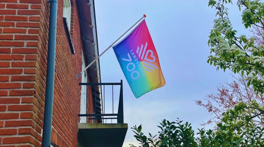 Vlag Landsmeer 700
